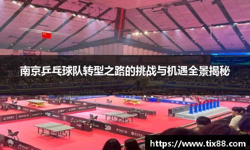 南京乒乓球队转型之路的挑战与机遇全景揭秘